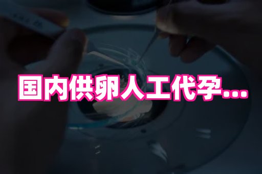 深圳助孕网站 1