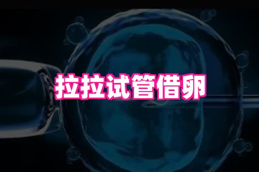 深圳助孕网站 2