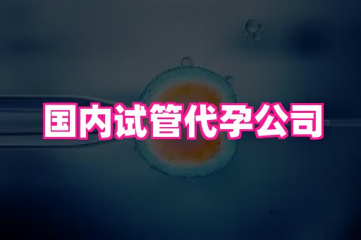 深圳助孕网站 4